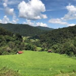 Chiang Mai Doi Inthanon National Park Day Tour - Practical Details and Value