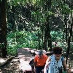 Chiang Mai Doi Inthanon Nature, Culture & Highest Point - Who is This Tour Best For?