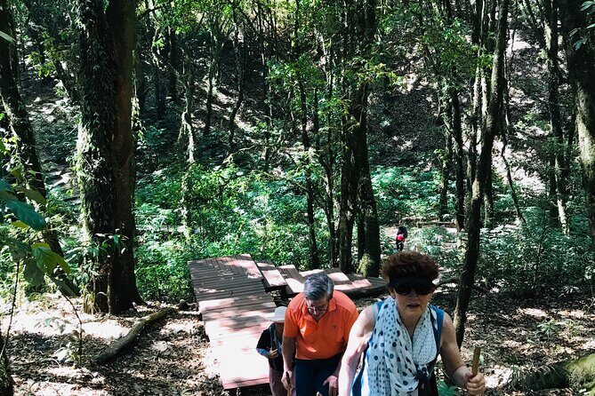 Chiang Mai Doi Inthanon Nature, Culture & Highest Point - Who is This Tour Best For?