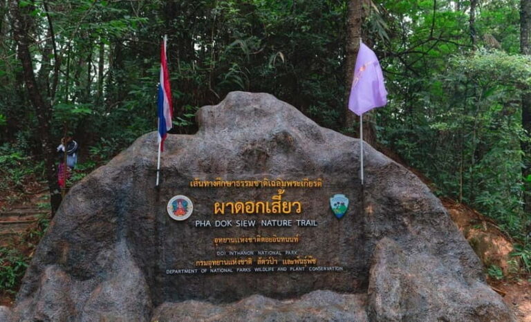 Chiang Mai: Doi Inthanon Trip with Pha Dok Siew Guided Trek - Who Is This Tour Best For?