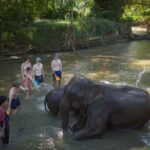 Chiang Mai: Elephant Care Mae Win&15 Ziplines-Tribe-Coffee - What Makes This Tour Stand Out