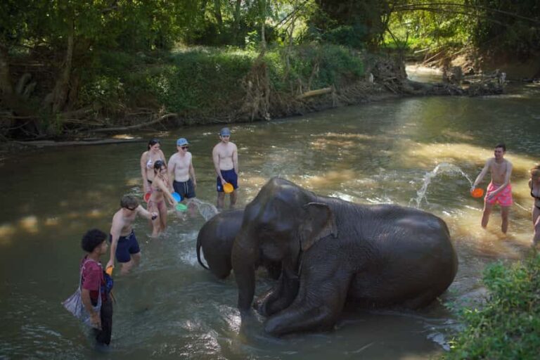 Chiang Mai: Elephant Care Mae Win&15 Ziplines-Tribe-Coffee - What Makes This Tour Stand Out
