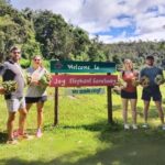 Chiang Mai: Elephant Observation & Wang River Bamboo Rafting - The Logistics and What You Need to Know