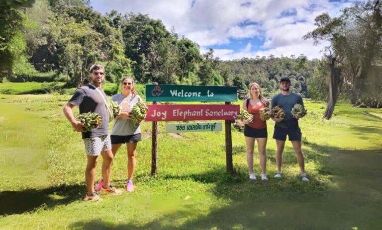 Chiang Mai: Elephant Observation & Wang River Bamboo Rafting - The Logistics and What You Need to Know