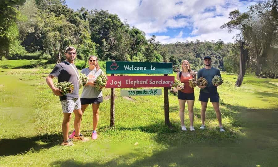 Chiang Mai: Elephant Observation & Wang River Bamboo Rafting - The Logistics and What You Need to Know