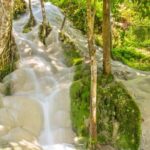 Chiang Mai Elephant Sanctuary and Sticky Waterfall Day Tour - What’s Included and What to Consider