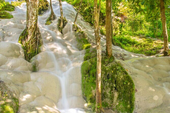 Chiang Mai Elephant Sanctuary and Sticky Waterfall Day Tour - Logistical Details & Practical Tips