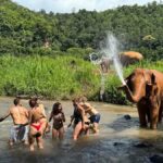 Chiang Mai: Elephant Sanctuary & Pha Chor Canyon - What Makes This Tour Stand Out?