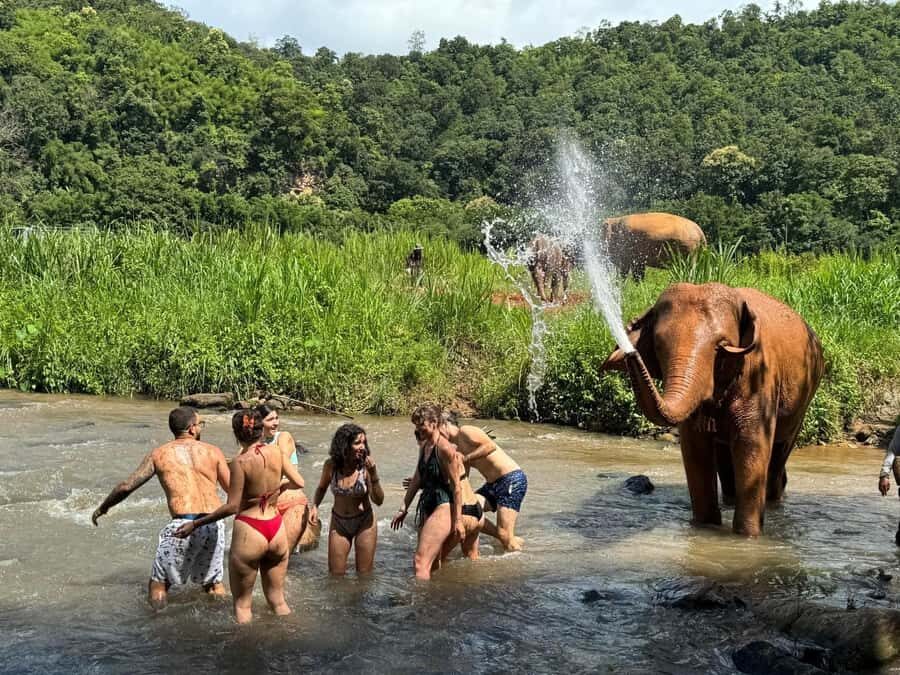 Chiang Mai: Elephant Sanctuary & Pha Chor Canyon - What Makes This Tour Stand Out?