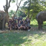 Chiang Mai Ethical Watching Elephant Sanctuary tour - FAQs