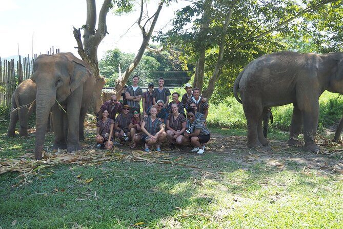 Chiang Mai Ethical Watching Elephant Sanctuary tour - FAQs