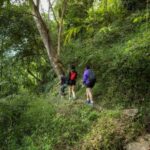 Chiang Mai : Follow the River in Chiang Dao Full Day Hiking - The Sum Up