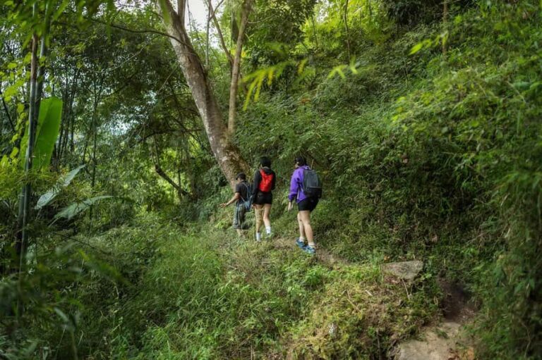 Chiang Mai : Follow the River in Chiang Dao Full Day Hiking - The Sum Up