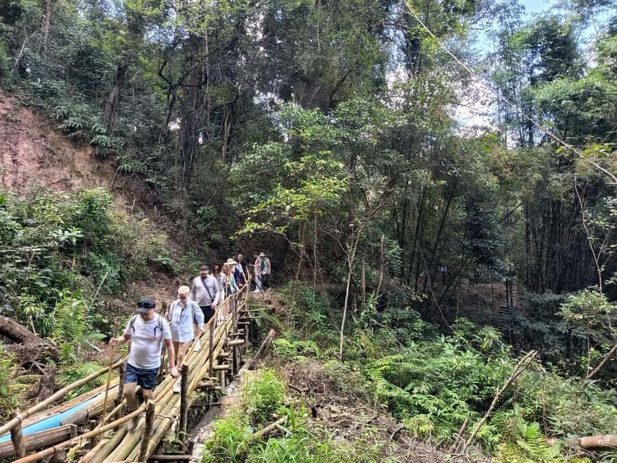 Chiang Mai: Forest Trekking & Visit Hill Tribe Village - Who Should Consider This Tour?