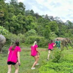 Chiang Mai Half Day Elephant Sanctuary Observation and Waterfall - What’s Included & What to Expect