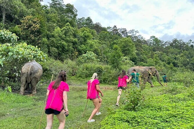 Chiang Mai Half Day Elephant Sanctuary Observation and Waterfall - What’s Included & What to Expect
