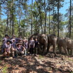 Chiang Mai Half Day Tour: Doi Inthanon Elephant Sanctuary - Why This Tour Offers Good Value