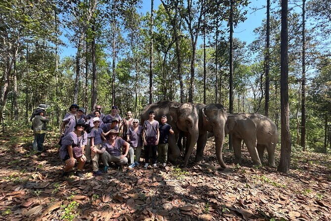 Chiang Mai Half Day Tour: Doi Inthanon Elephant Sanctuary - Why This Tour Offers Good Value