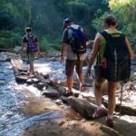 Chiang Mai: Hill Tribes Trek (Palong) with Lunch & Transfers - Why This Tour Offers Great Value