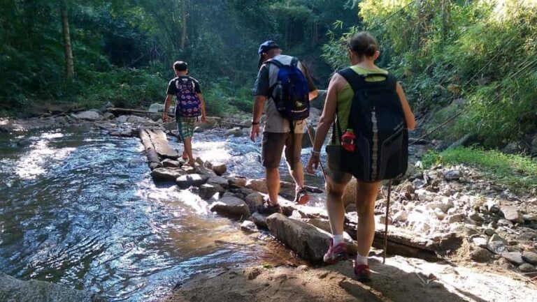Chiang Mai: Hill Tribes Trek (Palong) with Lunch & Transfers - Why This Tour Offers Great Value