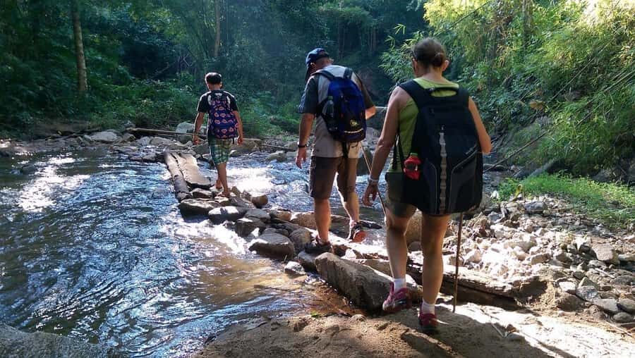 Chiang Mai: Hill Tribes Trek (Palong) with Lunch & Transfers - Why This Tour Offers Great Value