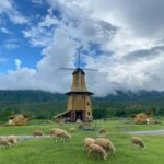 Chiang Mai: Huai Tueng Thao Half Day Tour with Lunch - Practical Details for Travelers