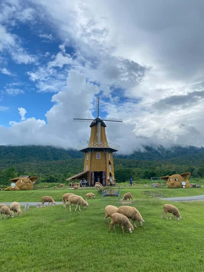 Chiang Mai: Huai Tueng Thao Half Day Tour with Lunch - Practical Details for Travelers