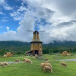 Chiang Mai: Huai Tueng Thao Lake Tour with Lunch & ATV - A Relaxing Paddle Boat Ride