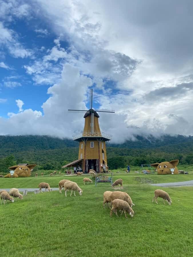 Chiang Mai: Huai Tueng Thao Lake Tour with Lunch & ATV - A Relaxing Paddle Boat Ride