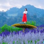 Chiang Mai: Mon Jam Flower Hills, Alpaca Cafe & Dantewada - What to Expect at Mon Jam