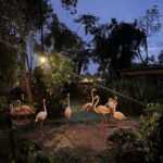 Chiang Mai Night Safari: Flexible Pickup, Ticket & Transfers - The Itinerary Breakdown: What You Can Expect