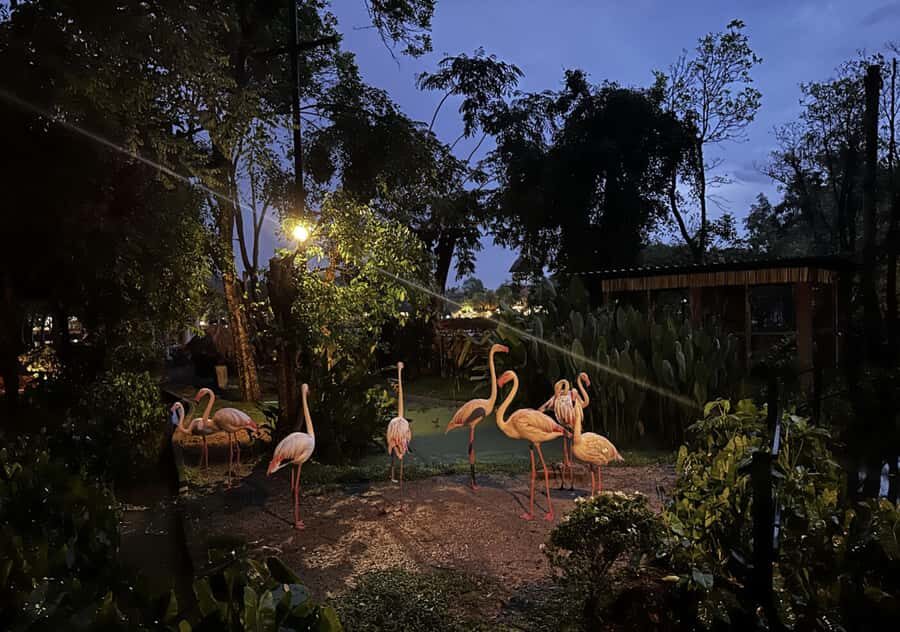 Chiang Mai Night Safari: Flexible Pickup, Ticket & Transfers - The Itinerary Breakdown: What You Can Expect