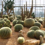 Chiang Mai: Queen Sirikit Botanic Garden Entry Ticket - What Sets It Apart