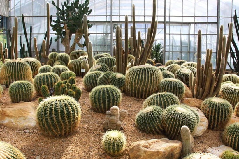 Chiang Mai: Queen Sirikit Botanic Garden Entry Ticket - What Sets It Apart