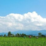 Chiang Mai Rice Fields Bike Tour Along Mae Ping River - Who Would Love This Tour?