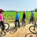 Chiang Mai Rice Fields Bike Tour Along Mae Ping River - An Overview of the Chiang Mai Rice Fields Bike Tour