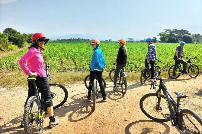 Chiang Mai Rice Fields Bike Tour Along Mae Ping River - An Overview of the Chiang Mai Rice Fields Bike Tour