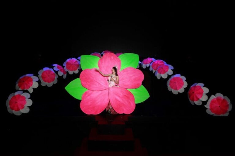 Chiang Mai: Siam Dragon Cabaret Show with Optional Transfer - What’s Included in Your Ticket