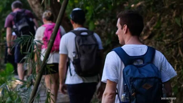 Chiang Mai: Small-Group Downhill Eco Walk to Waterfall - The Experience: Details and Insights