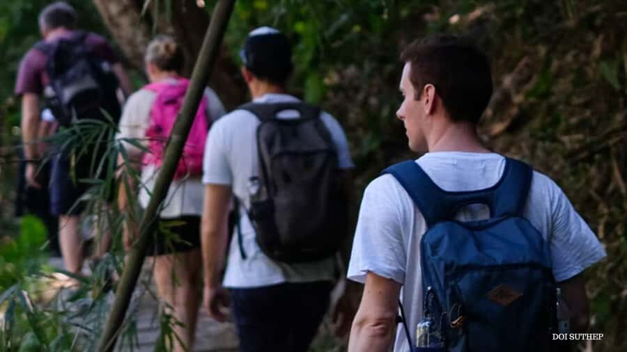 Chiang Mai: Small-Group Downhill Eco Walk to Waterfall - The Experience: Details and Insights