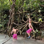 Chiang Mai Sticky Waterfall Adventure-Climb Like Spider-Man! - Why Is This Tour Worth Considering?