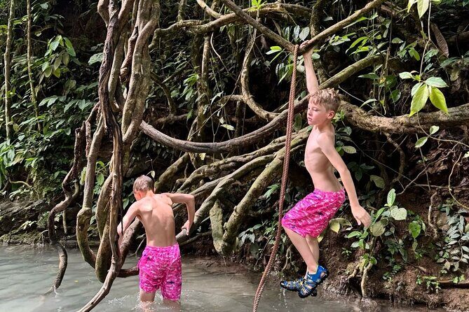 Chiang Mai Sticky Waterfall Climbing Adventure Half Day Tour - The Itinerary in Detail