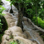 Chiang Mai: Sticky Waterfall Half day tour - The Details That Matter