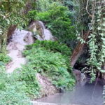 Chiang Mai: Sticky Waterfall Half day tour - How the Tour Unfolds