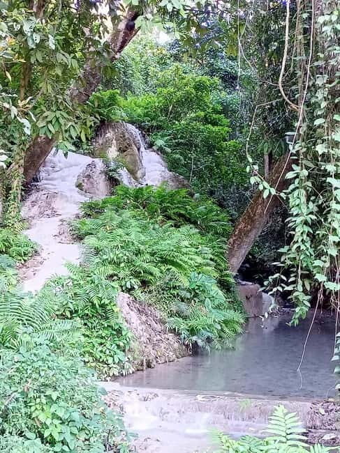 Chiang Mai: Sticky Waterfall Half day tour - How the Tour Unfolds