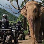 Chiang Mai Sticky Waterfall Tour ATV and Scenic Café - The Value and Practicalities