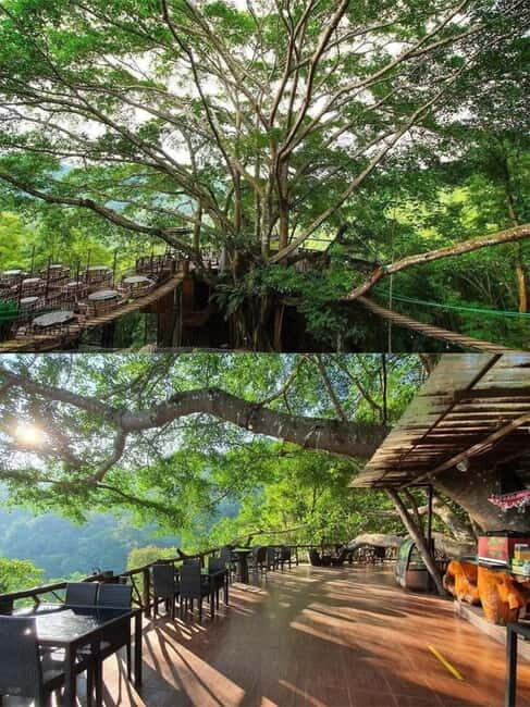 Chiang Mai: The Giant Café & Mae Kampong Village Day Trip - Price and Value Analysis