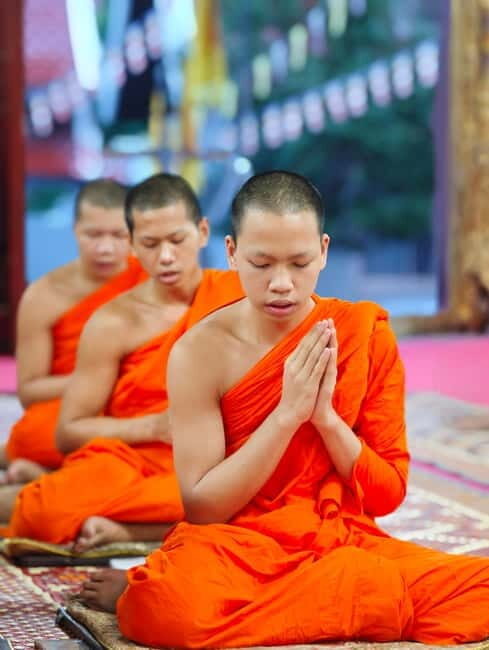 Chiang Mai: Wat Chai Sri Phoom Evening Chanting & Meditation - The Authenticity and Cultural Value