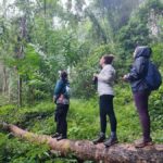 Chiang Mai: Wild Gibbon Encounters with Karen Homestay - Why You Should Consider This Tour