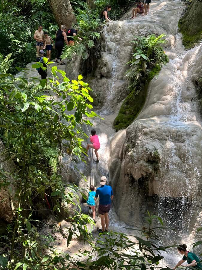 Chiang Mai:Sticky waterfall (Half Day) Hotel Transfer - A Complete Breakdown of the Tour Experience